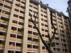 Blk 51 Lorong 6 Toa Payoh (Toa Payoh), HDB 3 Rooms #259531381